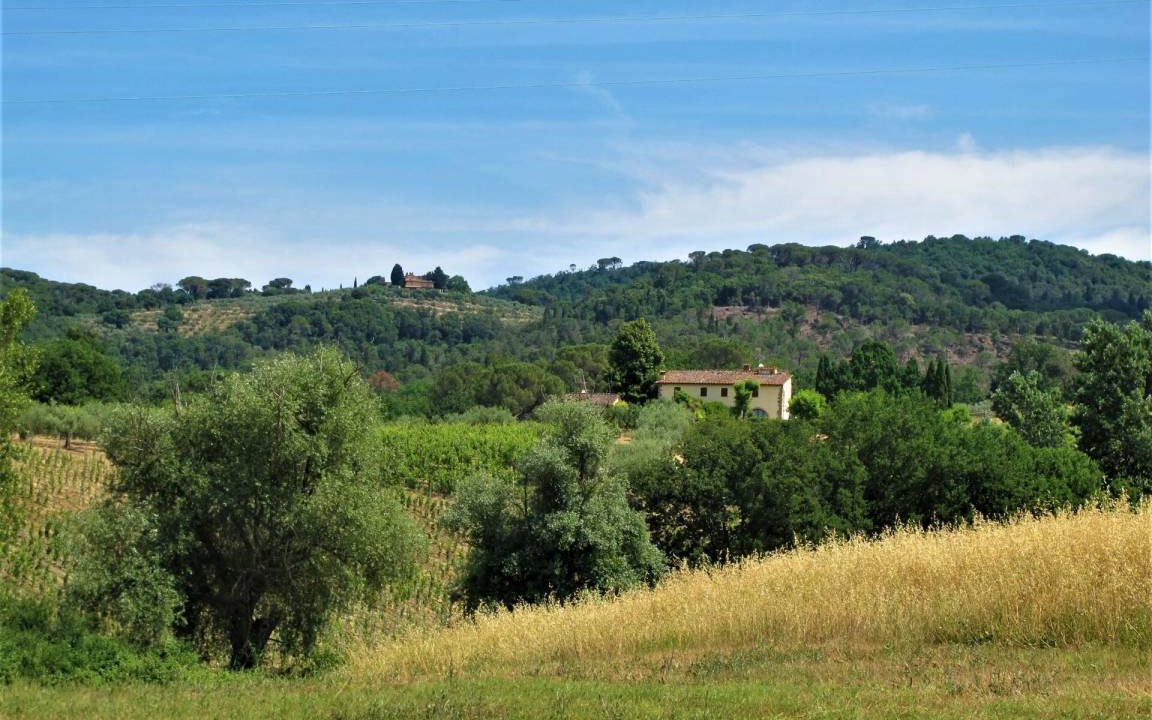 Photo of Others in Scandicci