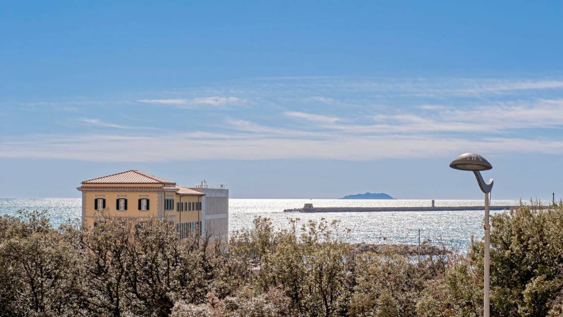 Photo of Others in Livorno