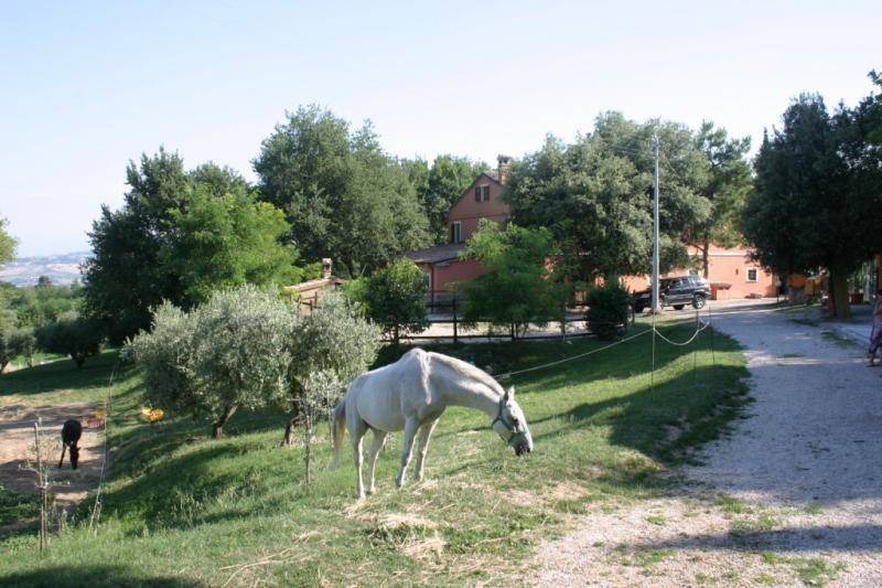 Photo of Others in Serrungarina