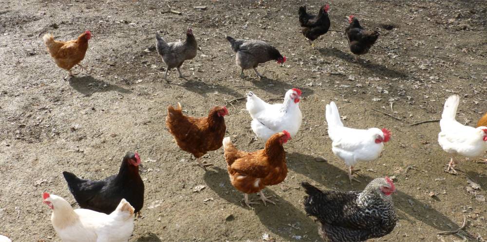 Photo of Others in Mayfield