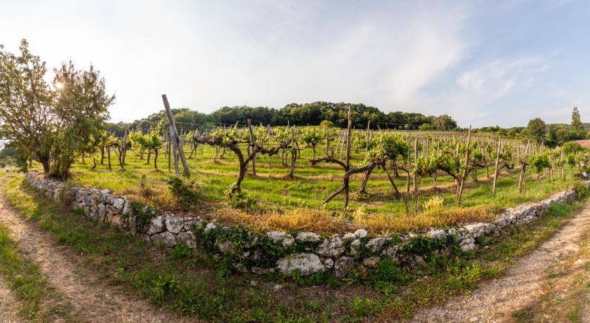 Photo of Others in Arcugnano