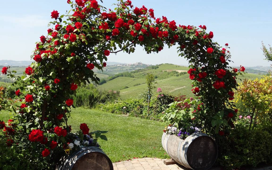 Photo of Others in Nizza Monferrato
