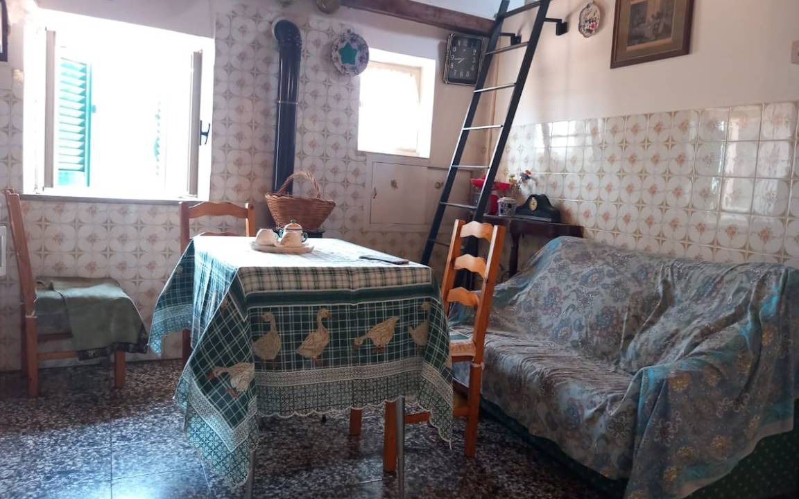 Photo of Others in Segni