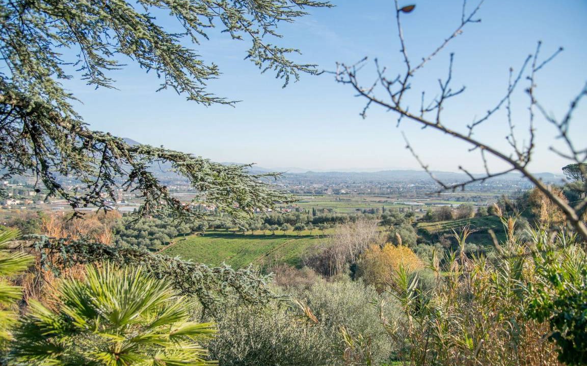 Photo of Others in San Michele di Moriano