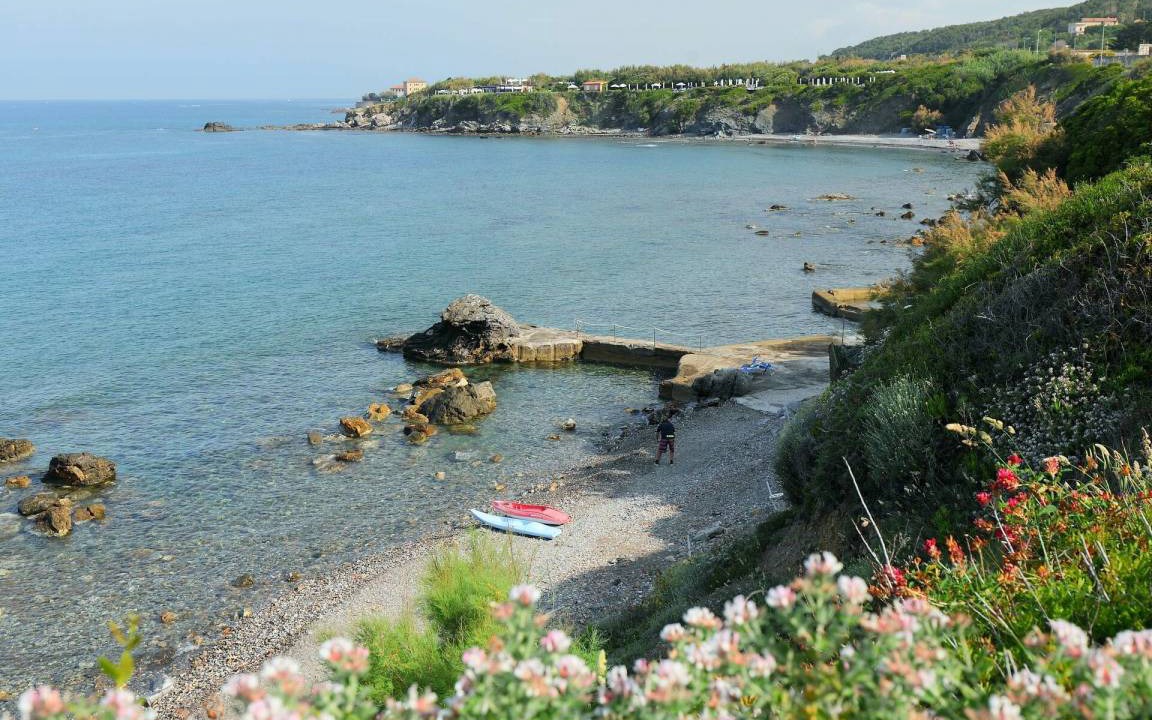 Photo of Others in Livorno