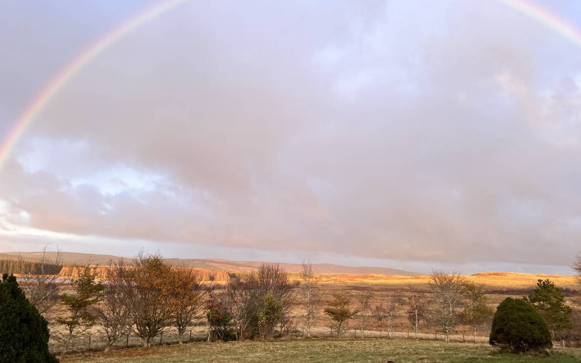 Photo of Others in Lairg