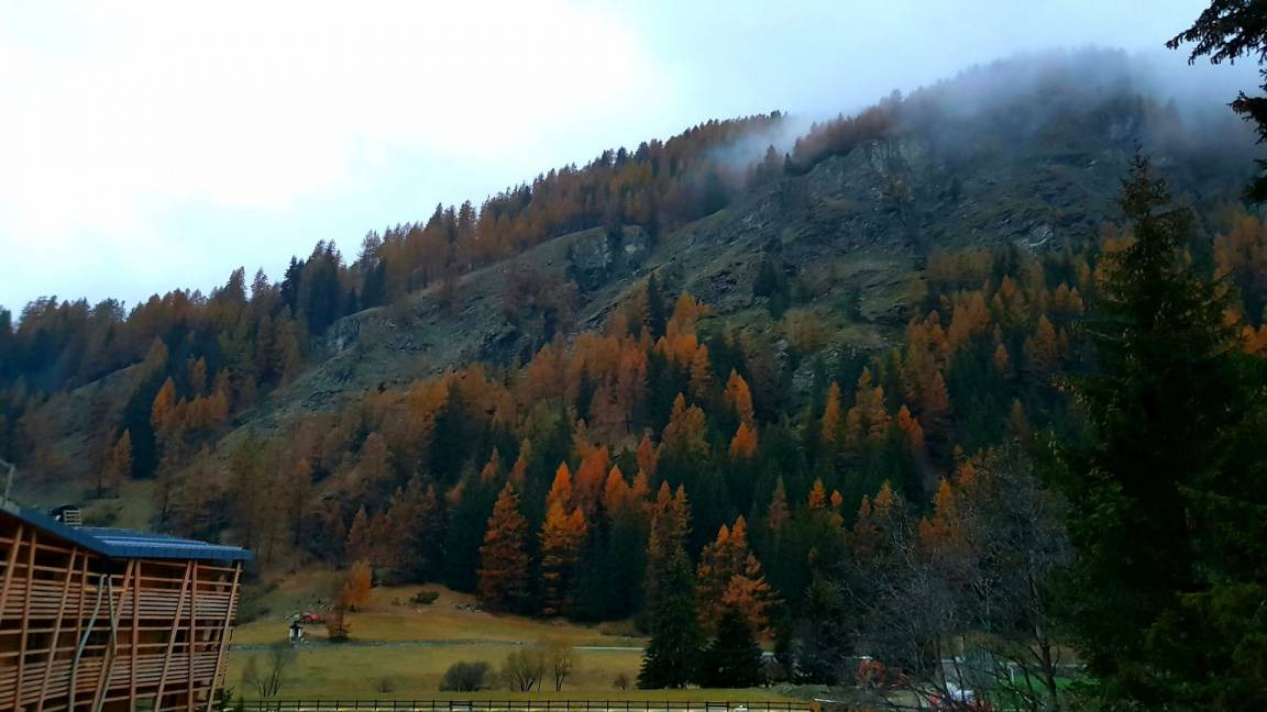 Photo of Others in Champoluc