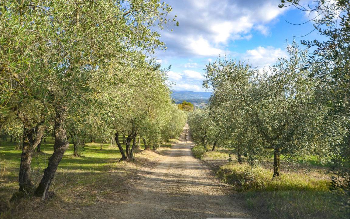 Photo of Others in Rignano sull'Arno