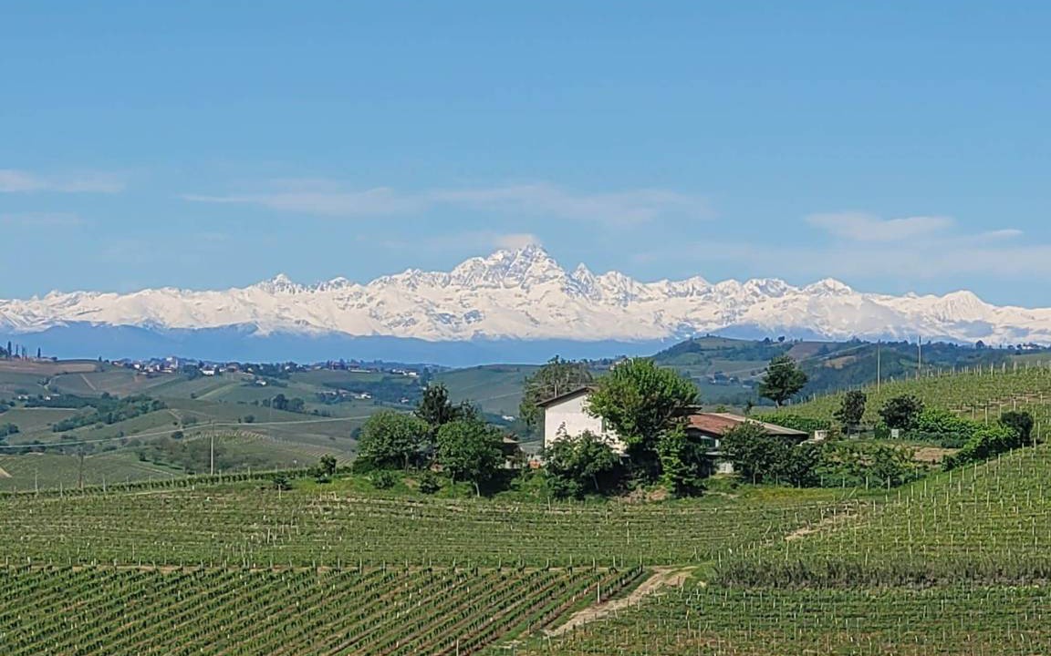 Photo of Others in Nizza Monferrato