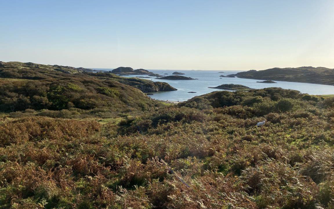 Photo of Others in Bunessan