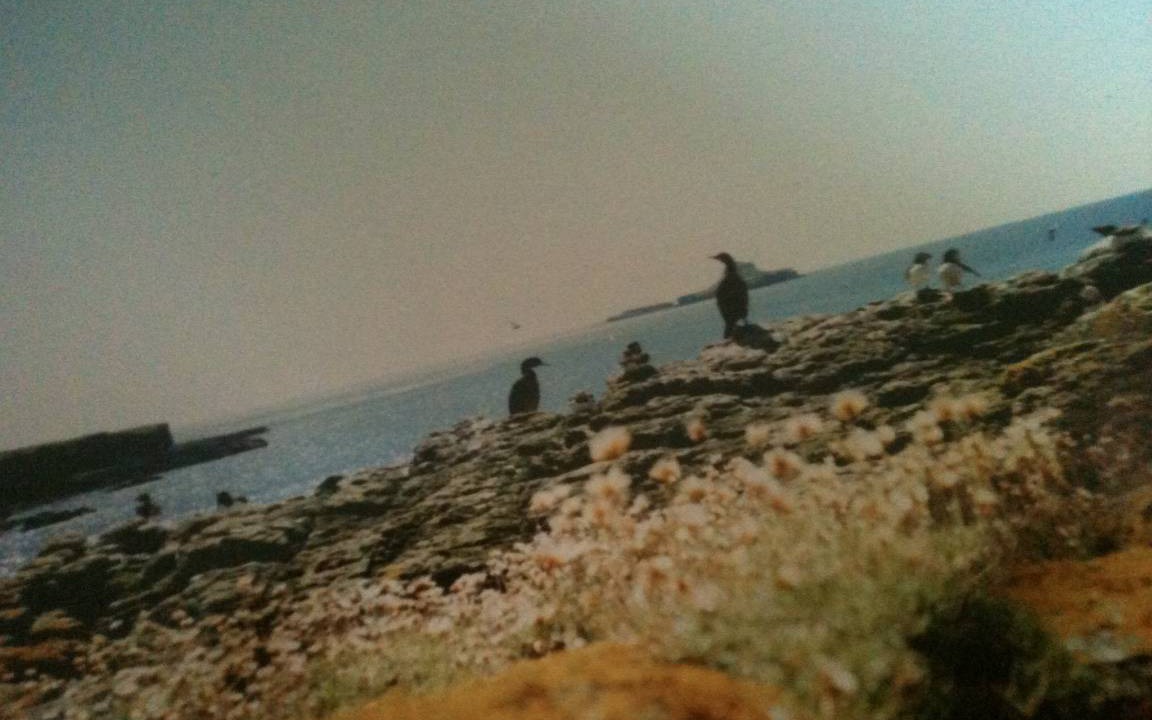 Photo of Others in Bunessan