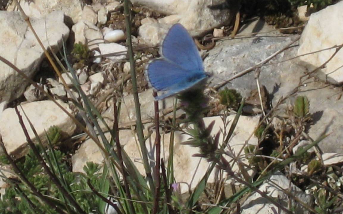 Photo of Outdoor in Trecastelli
