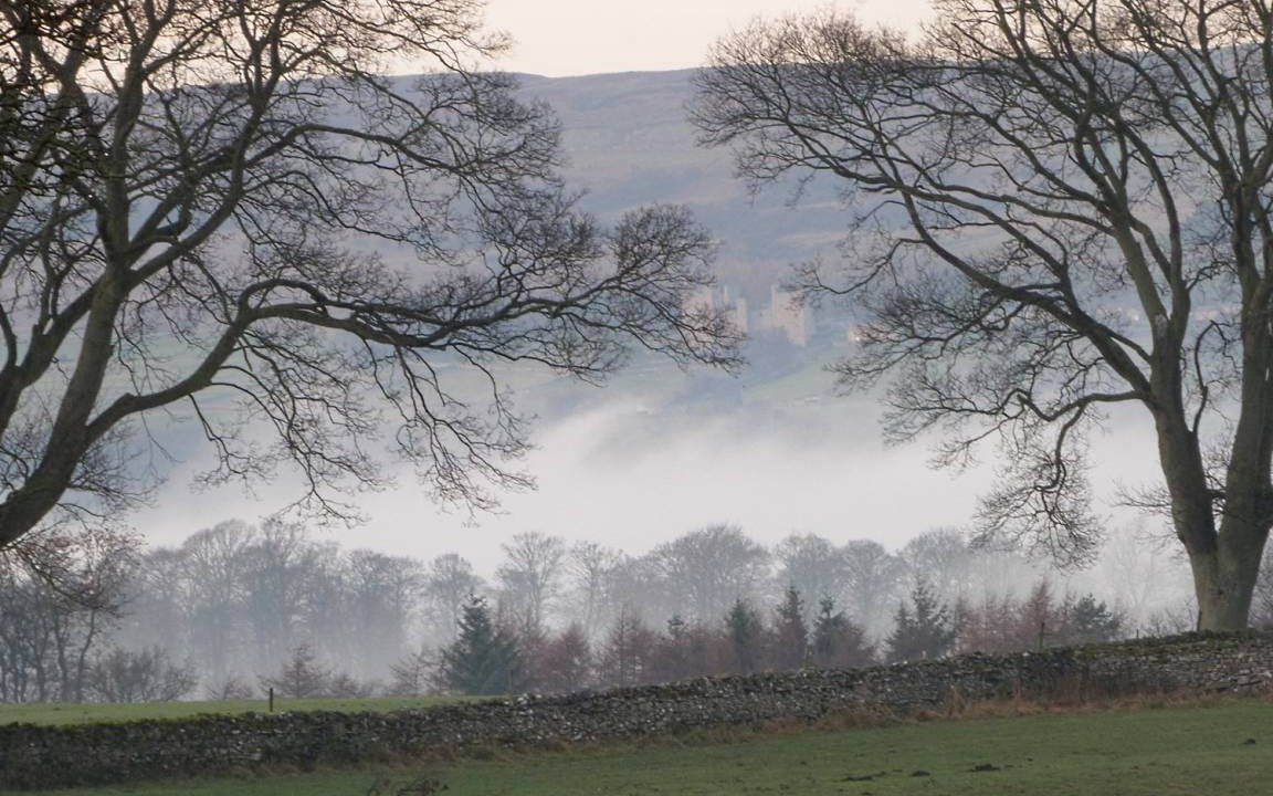 Photo of Others in Redmire