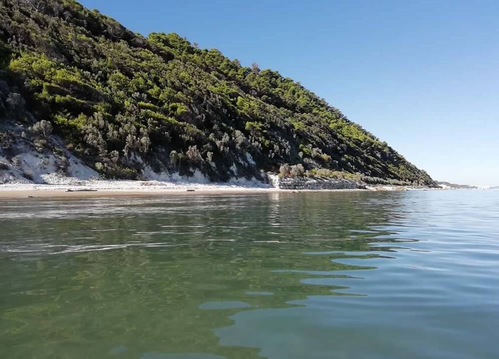 Photo of Others in Vico del Gargano