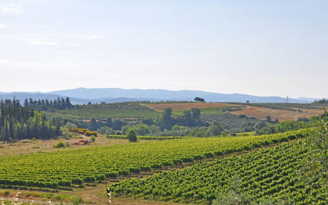 Photo of Others in Tavarnelle Val di Pesa