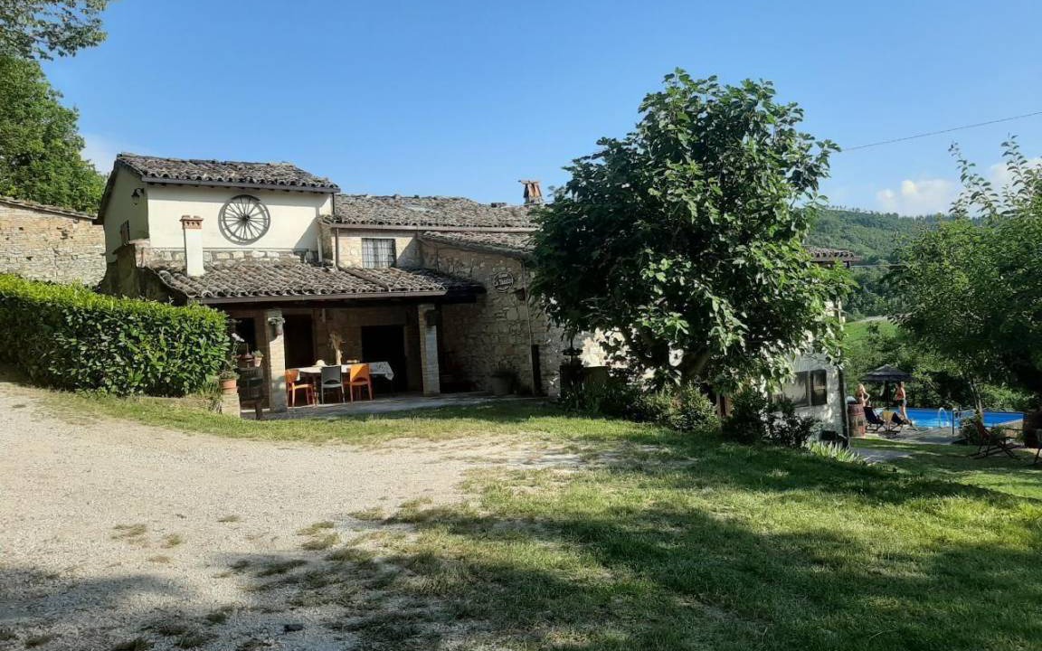 Photo of Others in Urbino