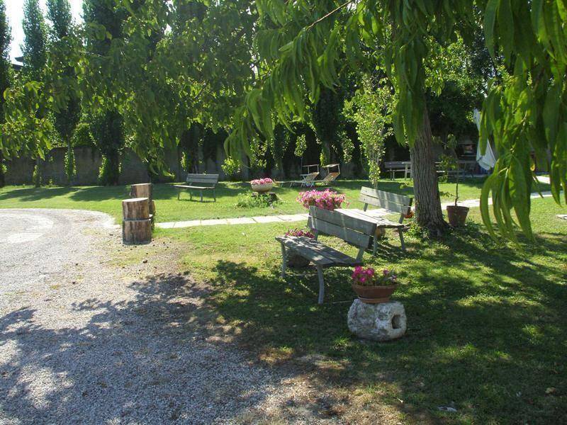 Photo of Others in Mira