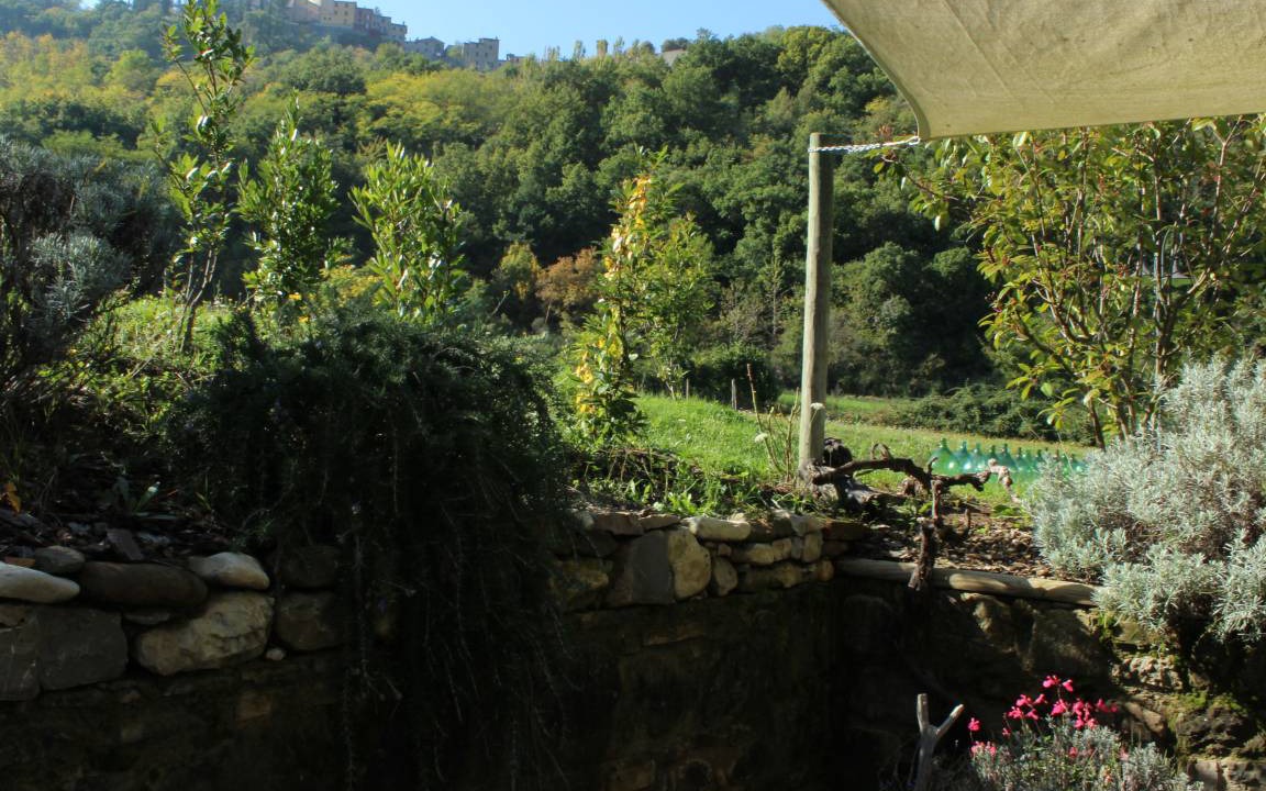 Photo of Others in Montone