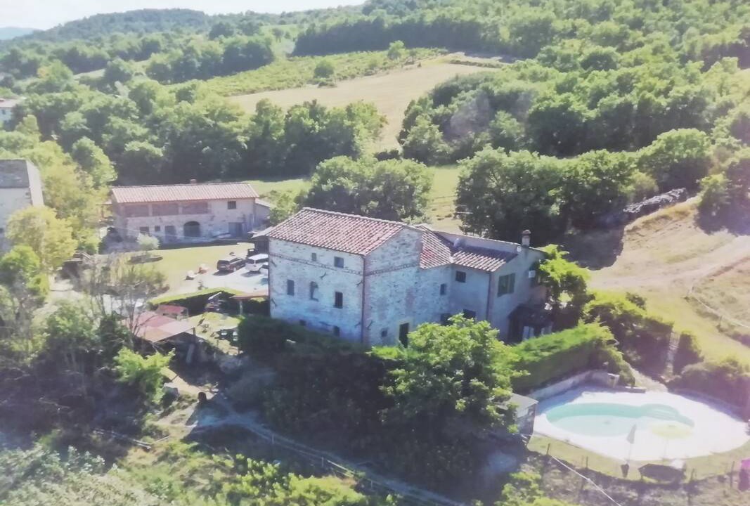 Photo of Others in Sansepolcro