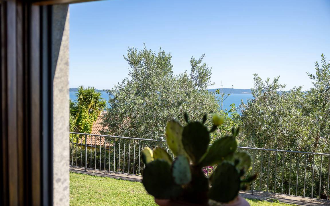 Photo of Others in Lake Bracciano