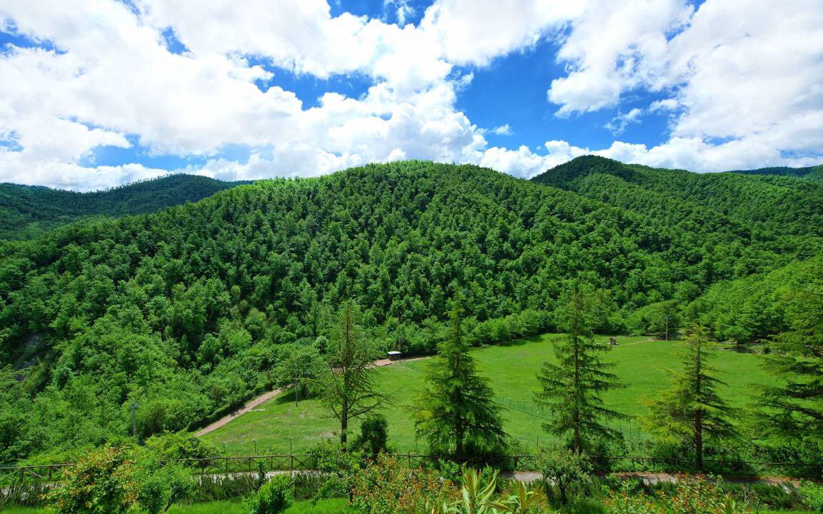 Photo of Others in Gubbio