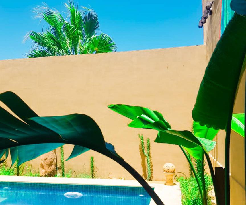 Photo of Others in Ouarzazate