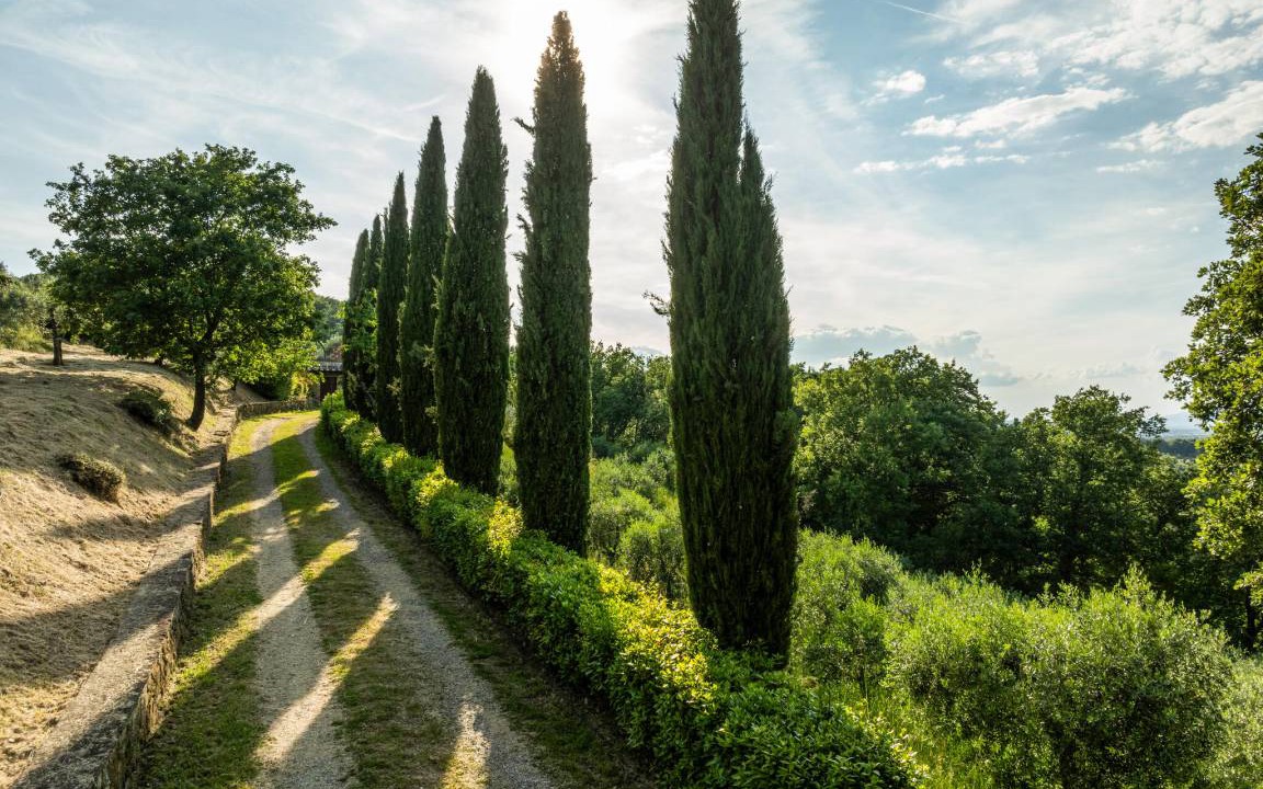 Photo of Others in Pieve al Bagnoro