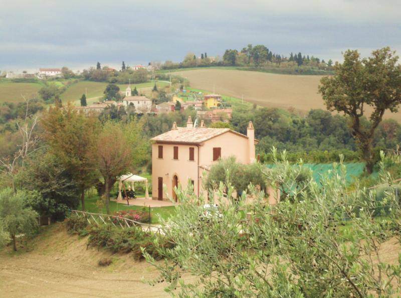 Photo of Others in Stacciola