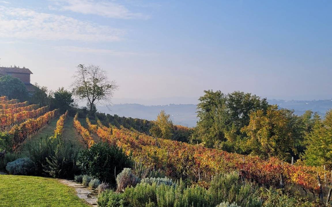 Photo of Others in Nizza Monferrato