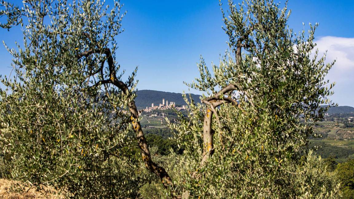 Photo of Others in San Gimignano