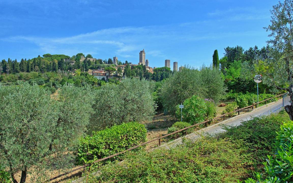 Photo of Others in San Gimignano