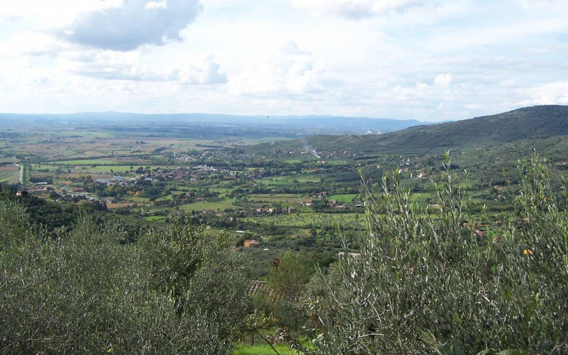 Photo of Others in Cortona