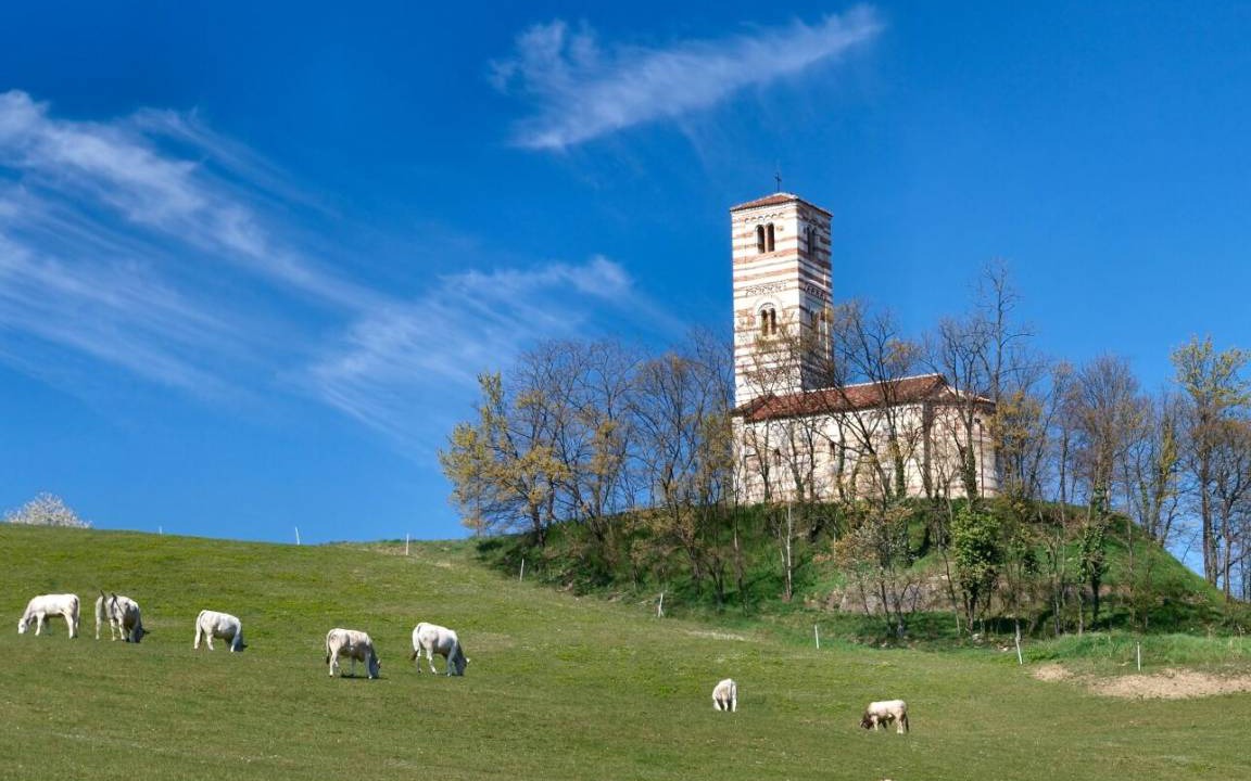 Photo of Others in Robella
