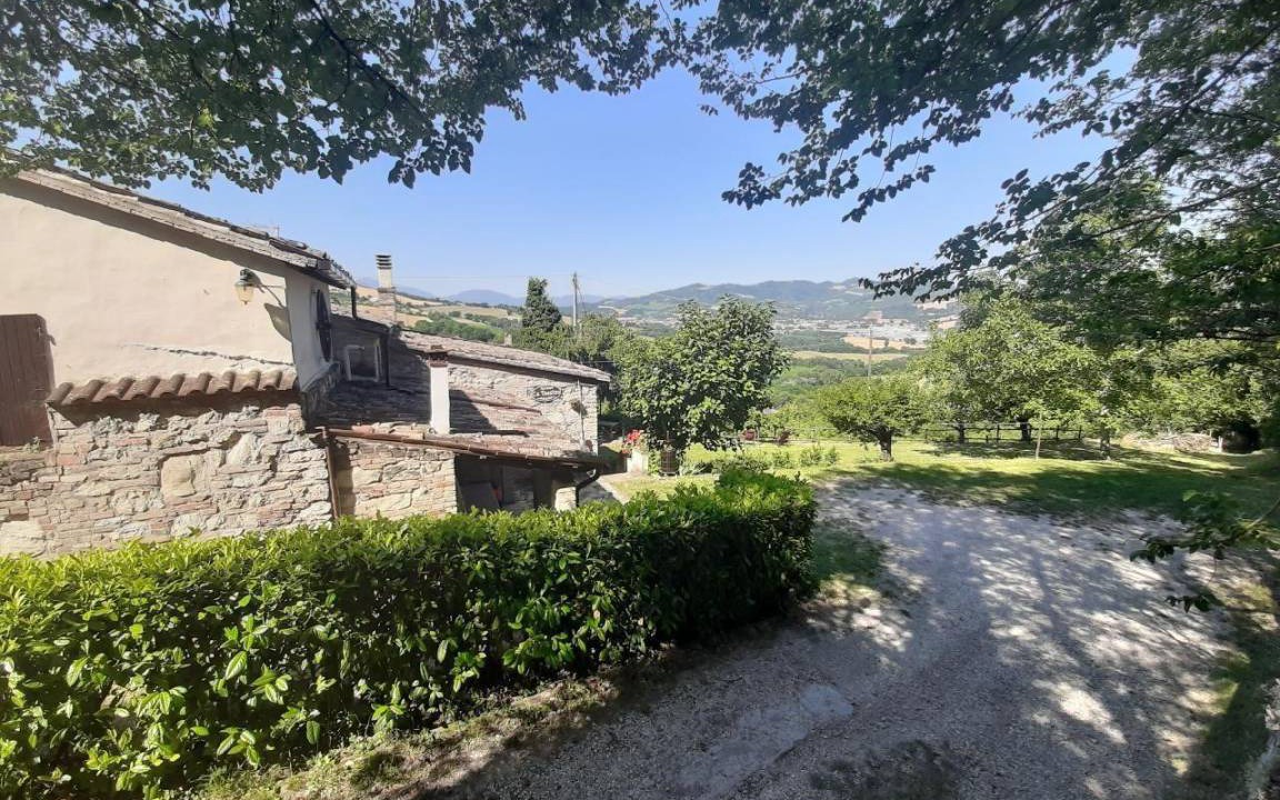 Photo of Others in Urbino