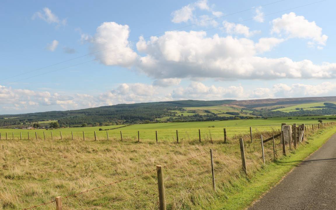 Photo of Others in Hexham