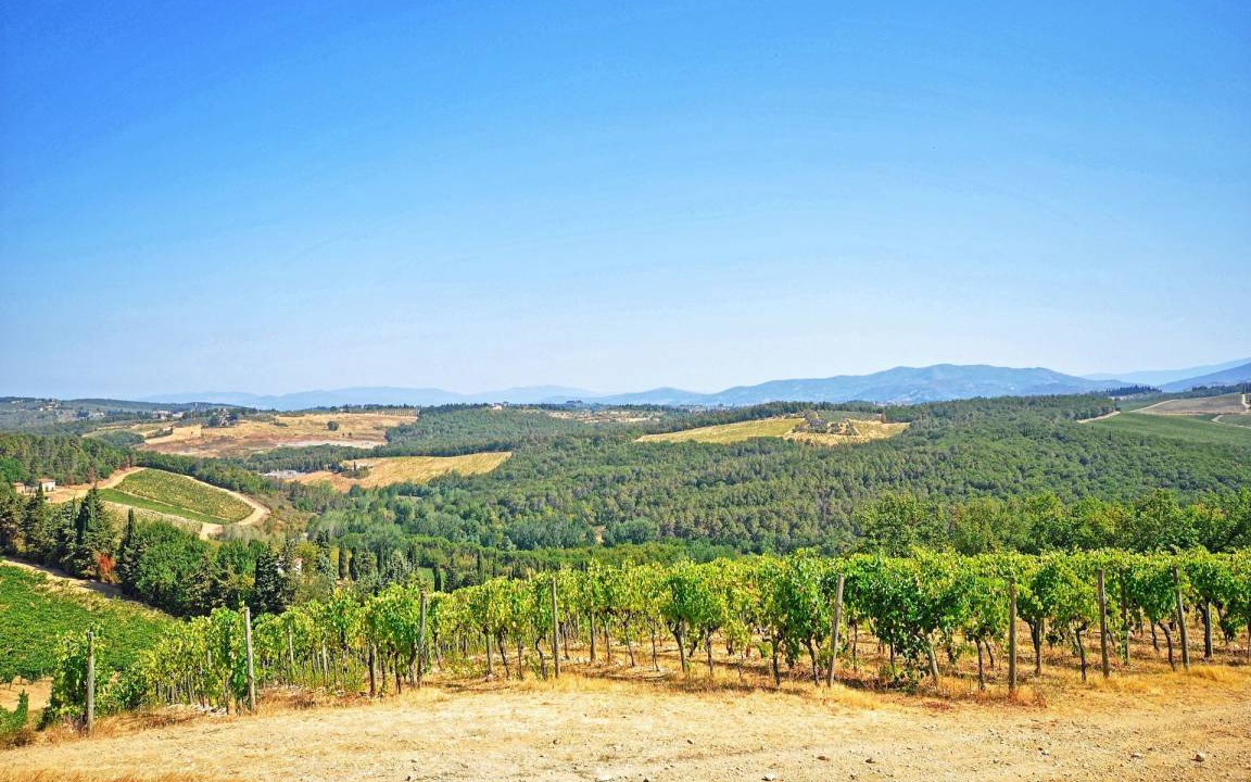 Photo of Others in San Casciano in Val di Pesa