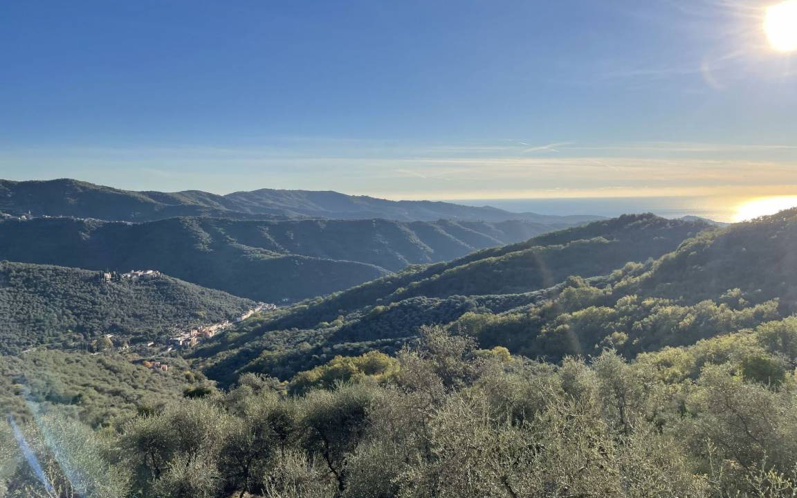 Photo of Others in Valloria