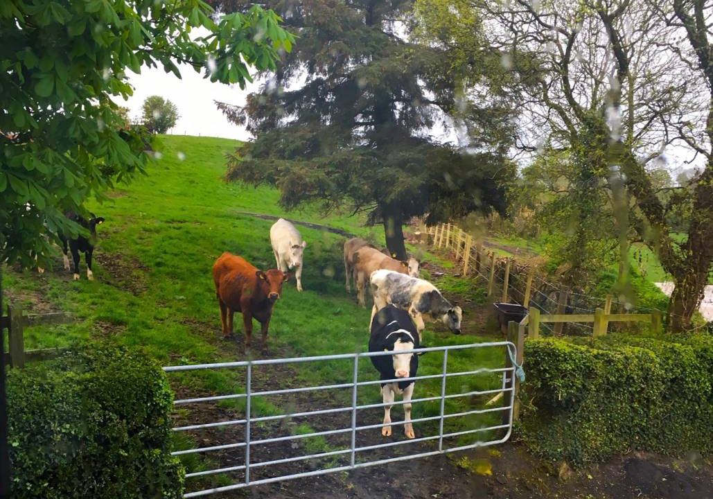 Photo of Others in Newry