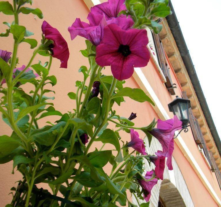 Photo of Others in Serrungarina