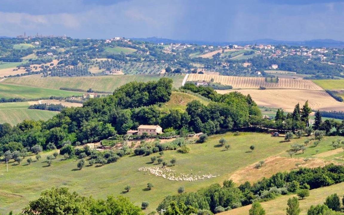 Photo of Others in Colmurano