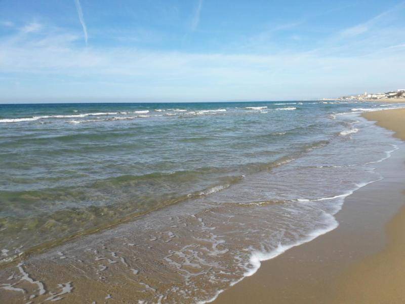 Photo of Others in San Vincenzo
