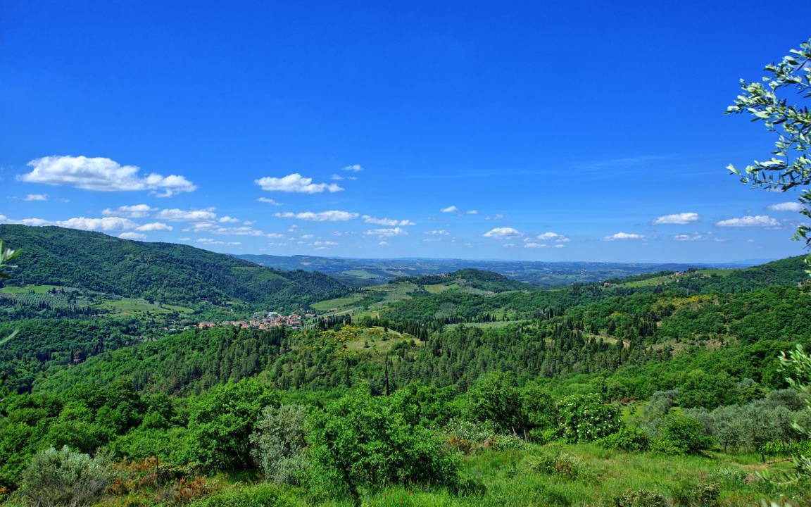 Photo of Others in Greve in Chianti