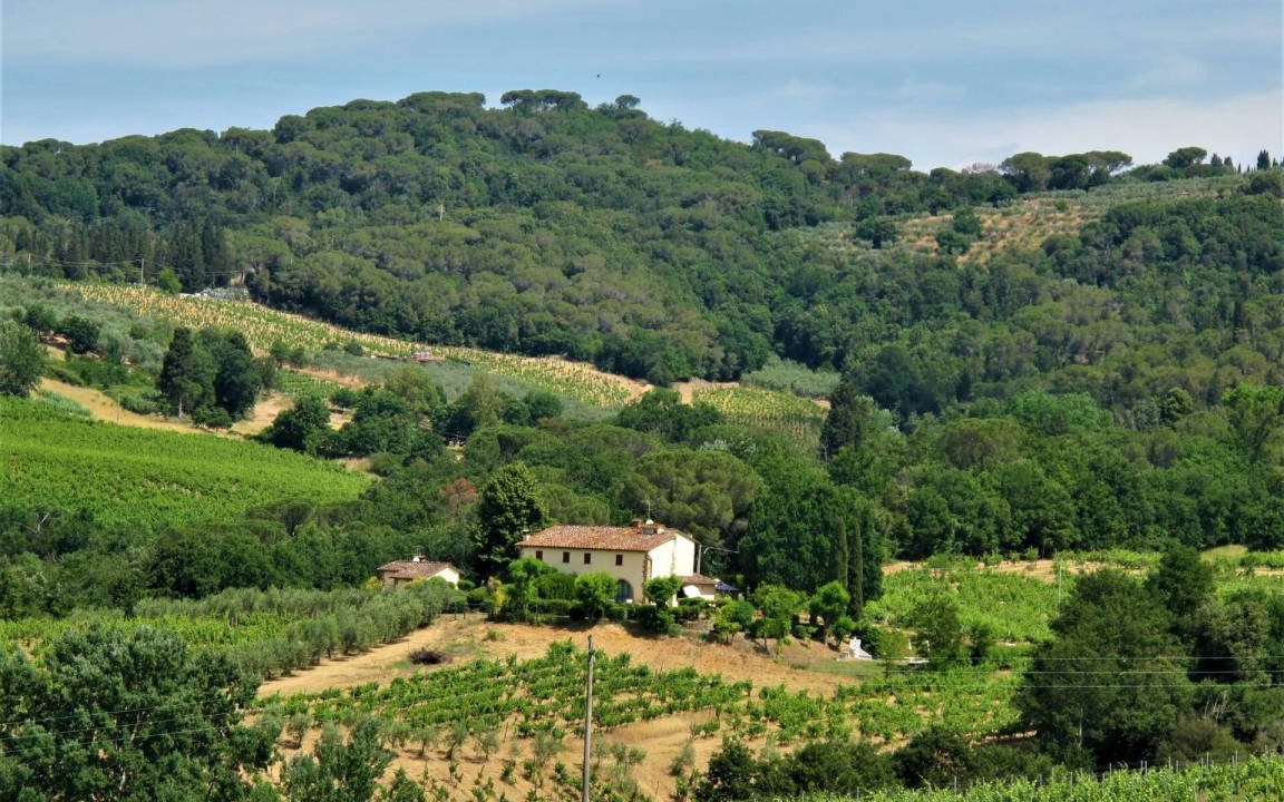 Photo of Others in Scandicci