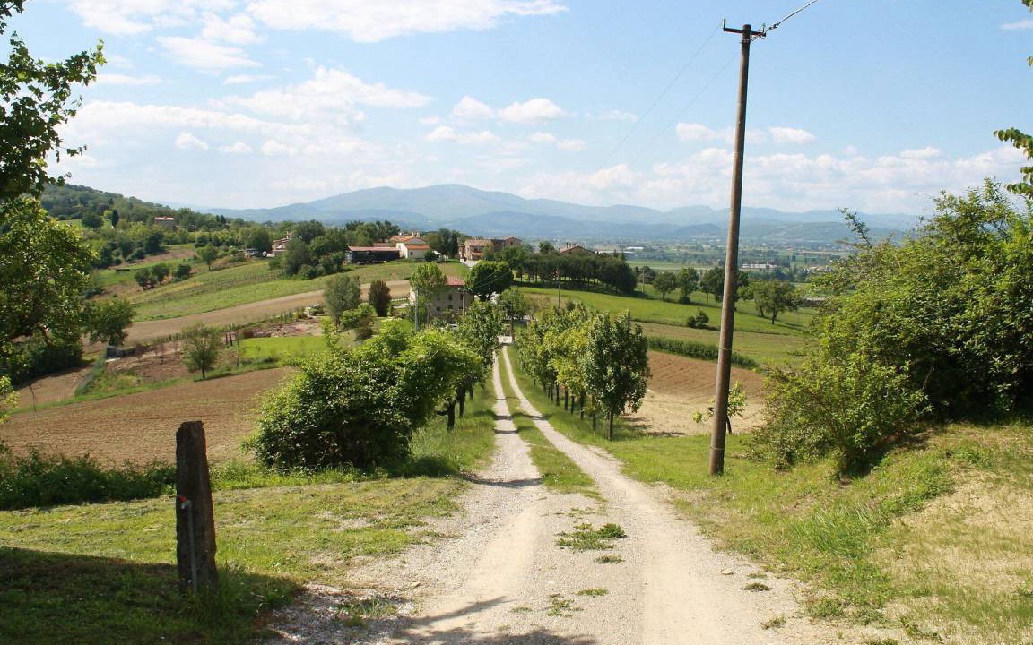 Photo of Others in Citerna