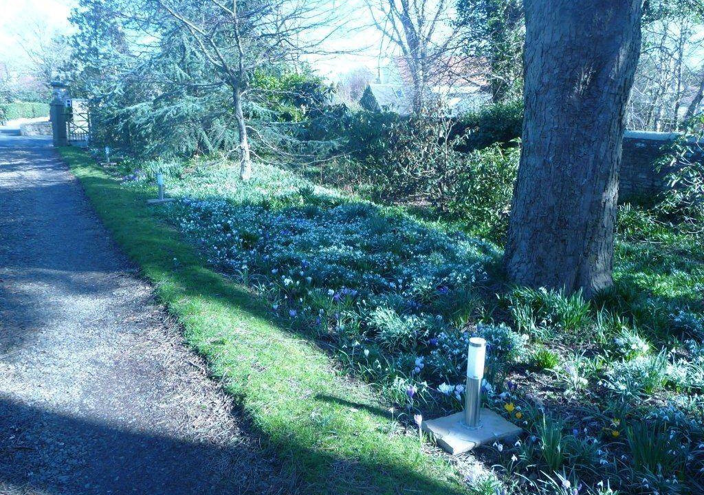 Photo of Others in Colinton
