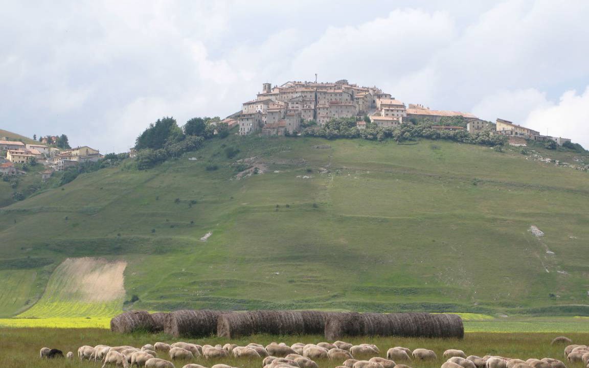 Photo of Others in Trecastelli