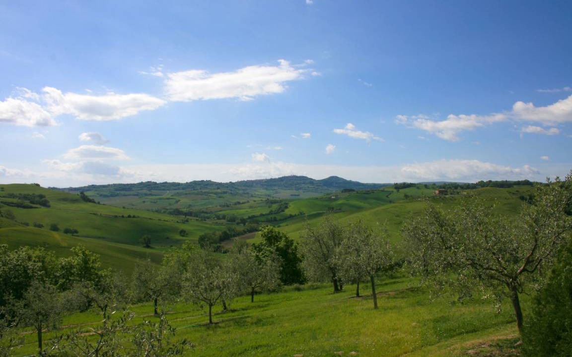 Photo of Others in Torrita di Siena