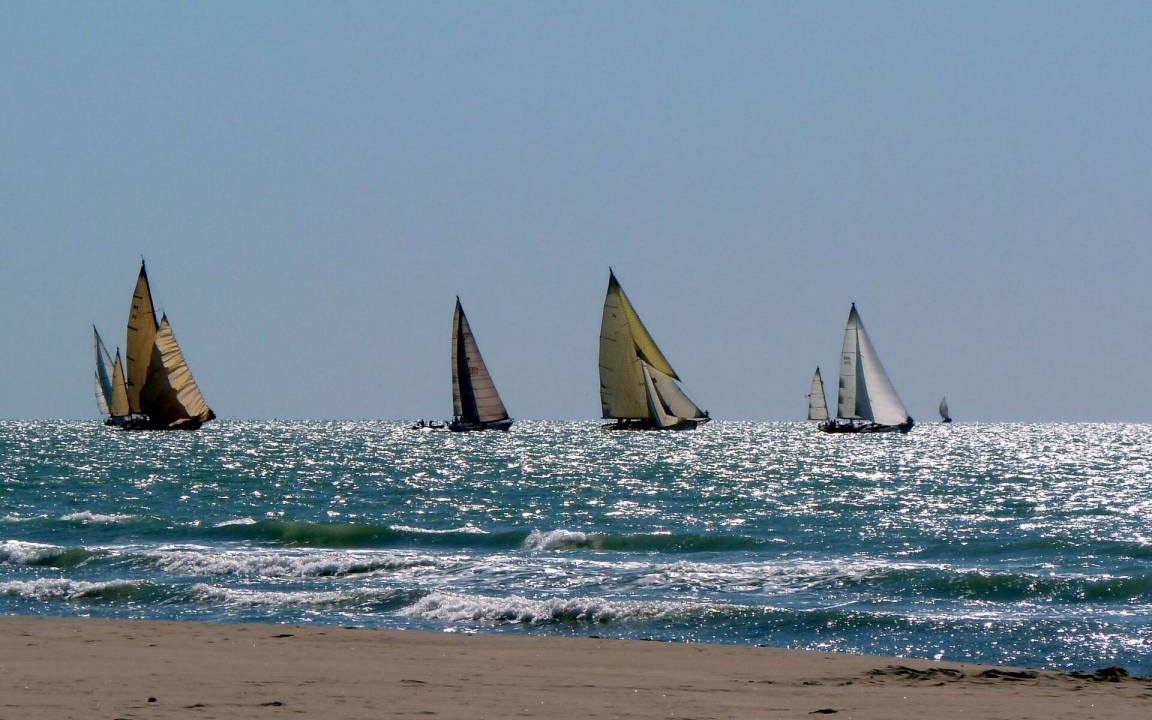 Photo of Others in Marina di Pietrasanta
