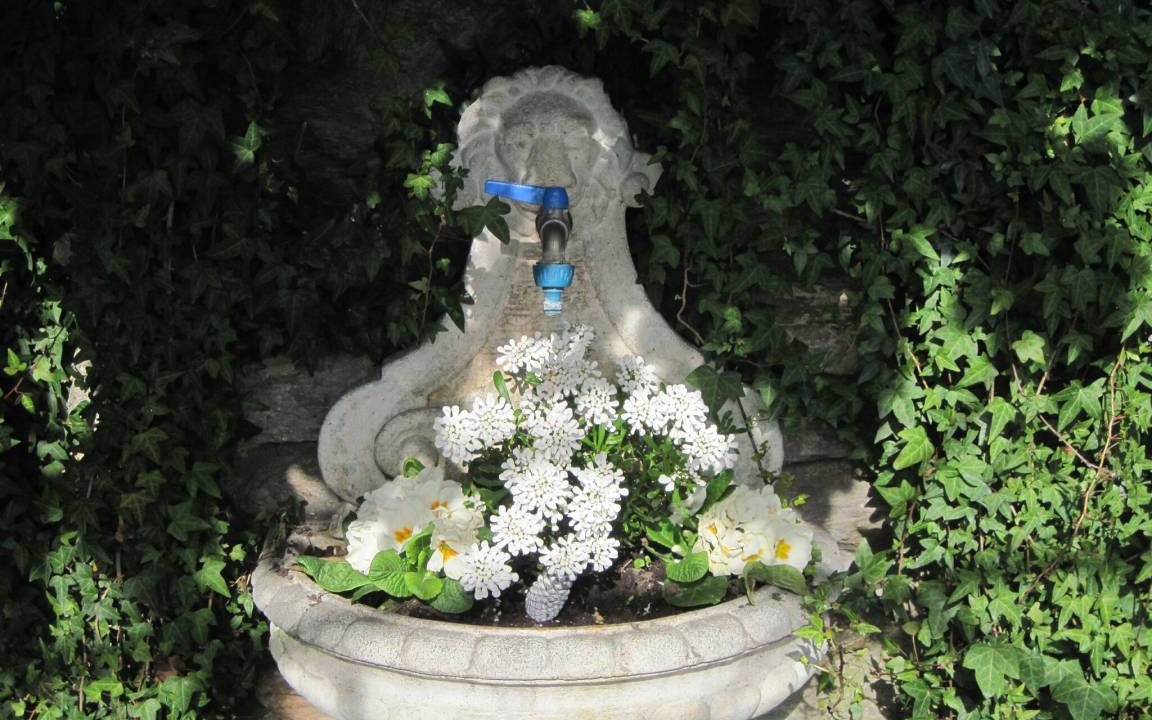 Photo of Others in Capanne-Prato-Cinquale