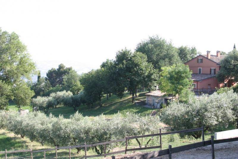 Photo of Others in Serrungarina
